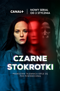 Чёрные маргаритки